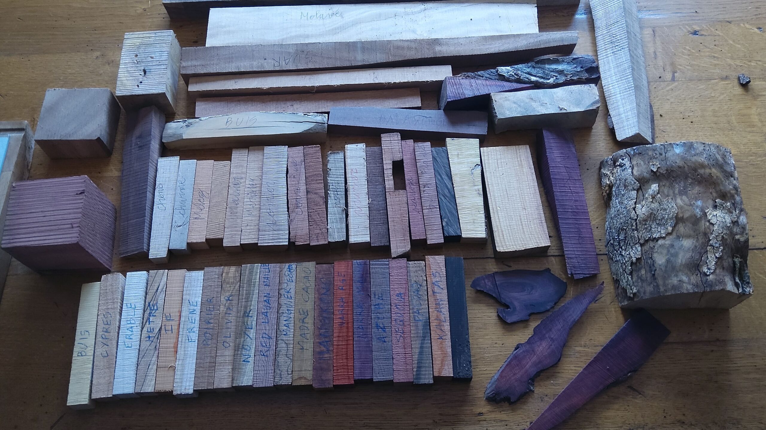 carrelets et bois exotiques carrelets et bois exotiques lady gouges