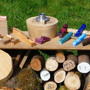 le bois rondins et carrelets lady gouges